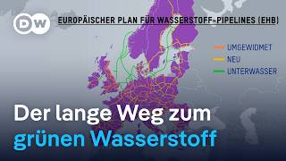 Grüner Wasserstoff – Hoffnungsträger oder Hürde  DW Nachrichten [upl. by Sezen590]