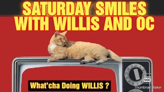 Whatcha Doing Willis is live SATURDAY SMILES WITH WILLIS AND OC [upl. by Lalo]