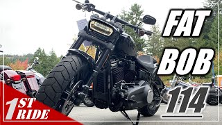 2021 Harley Softail Fat Bob 114 Review  One Bike to Rule em All [upl. by Olegnalehcim]