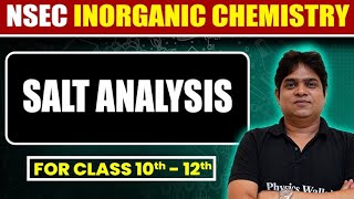 Salt Analysis in One Shot 🔥  Class 10th to 12th  NSEC Batch Free [upl. by Cousin]