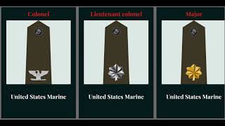 us military rank insignia [upl. by Hale]