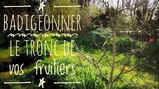 Badigeonner les fruitiers  Avenir Permaculture [upl. by Irret93]