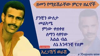 አረጋኸኝ ወራሽ Aregahegn Worash Old Ethio music Remix [upl. by Narmi858]