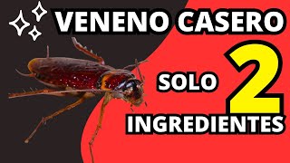 Receta de VENENO CASERO PARA CUCARACHAS con solo 2 Ingredientes [upl. by Eryn]