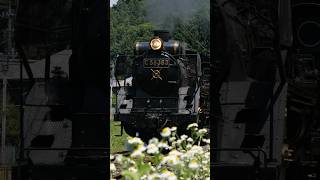 【4K縦動画】C58363 門鉄デフ！秩父鉄道・SLパレオ 白久駅通過 ChichibuRailway Steam locomotive Class C58 quotPALEO EXPRESSquot [upl. by Winshell]