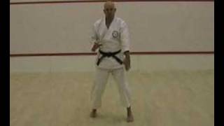 Seishan Kata Bunkai example  Sensei Mick Bayliss [upl. by Kevon14]