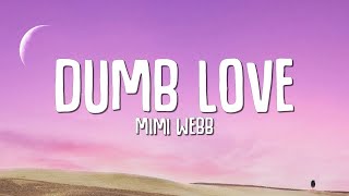 Mimi Webb  Dumb Love Lyrics [upl. by Aniala]