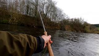 SALMON FISHING ON RIVER TWEED AT KAILZIE NOVEMBER 2020 PART 1 [upl. by Sacul]