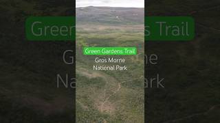 The Green Gardens Trail in Gros Morne National Park Is A MustDo canada travel newfoundland [upl. by Forras516]