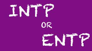 INTP or ENTP Which Personality Type Are You [upl. by Aicilas]