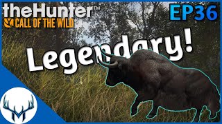 Fresh Start Ep36  theHunter Call of the Wild [upl. by Lyreb716]