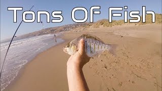 Dillons Beach Fishing Lawsons Landing [upl. by Lleneg]