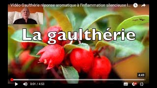 Vidéo LHE de Gaulthérie antidouleur et antiinflammatoire articulaire [upl. by Ardnyk]