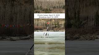 Nenana Ice Classic comparison update We watch ice melt for fun [upl. by Lebasiairam486]