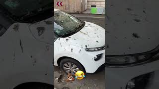 Bird poop alert 🚨🚨🚨Car wash needed 🦅💩🤣 Shorts [upl. by Notnirb]