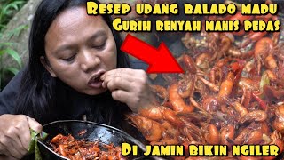 RESEP BALADO UDANG MADU HASIL BURUAN BIKIN NGILER [upl. by Morven963]