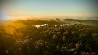 Morning Fog  Aerial Video  Muskoka [upl. by Ellimaj]