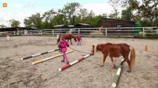 Pferdeoase in Ebendorf Bezirk Mistelbach  Reitverein Reitunterricht Reitstall Niederösterreich [upl. by Bruce]