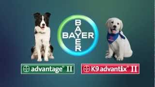 Bayer Advantage II and K9 Advantix demo video for dogs [upl. by Enelyak]