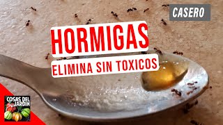 COMO ELIMINAR HORMIGAS DENTRO DE LA CASA  CASERO Y SIN TOXICOS [upl. by Nnoj]