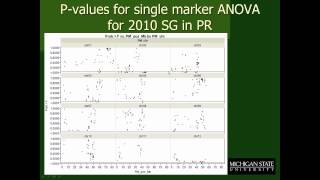 Single Marker ANOVA in Premier Russet and Rio Grande Russet [upl. by Inaffets]