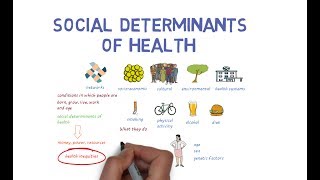 What Makes Us Healthy Understanding the Social Determinants of Health [upl. by Brenk150]