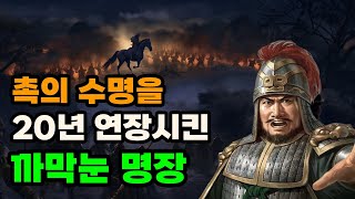 삼국지 왕평 낙곡대전의 대승에도 승진하지 못한 이유 [upl. by Kindig]