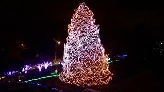 2024 Lights Before Christmas at the Toledo Zoo special [upl. by Kier]