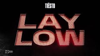 Tiësto  Lay Low Official Visualizer [upl. by Acirfa]