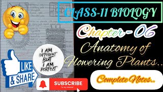 class 11  biology chapter  06  Anatomy of Flowering Plants  handmade complete notes💯 [upl. by Anilejna]