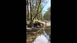 condamine river road and queen Mary falls [upl. by Nilyac405]