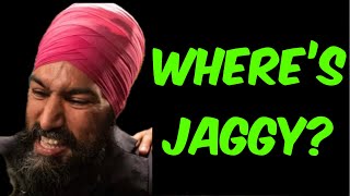 Jagmeet Singh’s Low Profile [upl. by Soilissav]