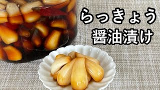 【らっきょうの醤油漬け】甘さ控えめ！醤油漬けの作り方！ [upl. by Aliuqa]