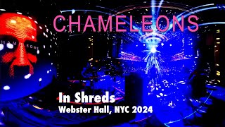 The Chameleons In Shreds Webster Hall 2024 [upl. by Anilatsyrc]