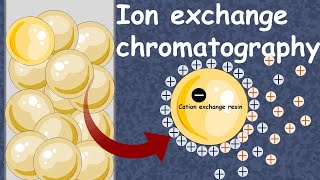 Ion Exchange Chromatography  Cation exchange chromatography  anion exchange chromatography [upl. by Ettenig]