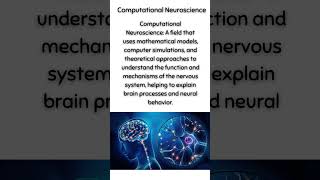 Computational Neuroscience [upl. by Bocoj]