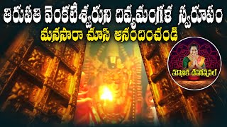 తిరుపతి వెంకటేశ్వరుని దివ్యమంగళ స్వరూపం  Balaji Temple  Inside Tirumala Tirupati Temple [upl. by Torbert946]