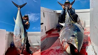 ATÚN GIGANTE ATACA PEZ VOLADORPESCA con CHIRINGA en San Diego CaliforniaEl Pescado de mis SUEÑOS [upl. by Ide]