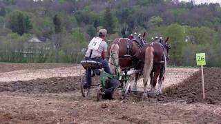 Plowing with Pioneer Sulky Plowplowing match [upl. by Oiciruam]