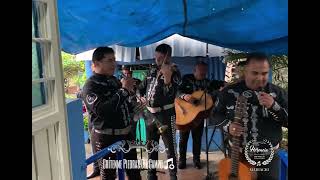 Mariachi Herencia De Villa  Grítenme Piedras Del Campo [upl. by Clo]