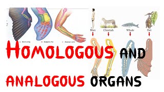 Homologous and analogous organs [upl. by Nairehs954]