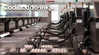 Codificación inkjet en la industria alimentaria  Industrial Cody [upl. by Auroora]