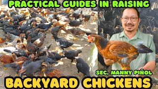 PRACTICAL GUIDES IN RAISING BACKYARD CHICKENS  MANOK PINOY  SEC MANNY PIÑOL [upl. by Roberson300]