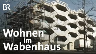 Wohnen wie im Bienenstock Das Münchner Wabenhaus  Schwaben  Altbayern  BR [upl. by Attikram]