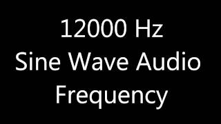 12000 Hz 12 kHz Sine Wave Sound Frequency Tone [upl. by Whorton]