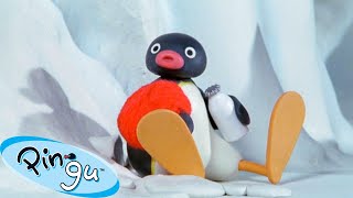 Pingu Gets Lost 🐧  Pingu  Official Channel  Cartoons For Kids [upl. by Kristoffer]