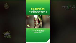 รักแท้ข้ามโลก ฝรั่งกลับมาดูแลเจดีย์เก็บอัฐิเมียทุกปี  ThairathTV [upl. by Sadonia]