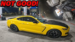 My Shelby GT350 Mustang Started Leaking Oil After Doing Hard Pulls [upl. by Annoynek428]