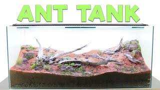 How to Build an Ant Farm  Natural Formicarium [upl. by Bissell]