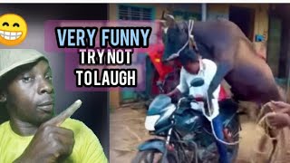 😂 2 Craziest Funniest Moments Ever Recorded On Earthfunny funnyvideos failarmy [upl. by Mobley267]